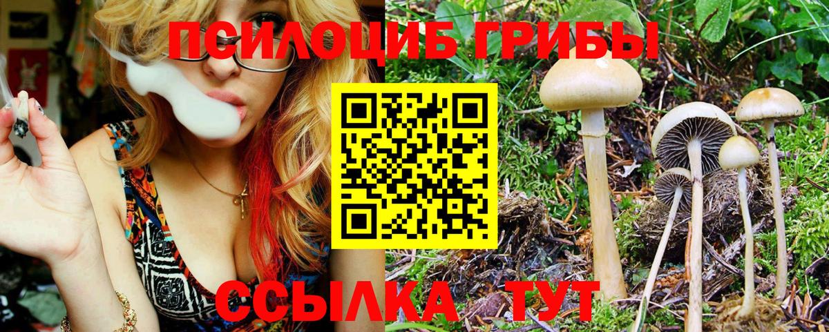 Галлюциногенные грибы прущие грибы  Псилоцибиновые грибы Magic Shrooms  Вход с VPN  Ульяновск 